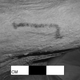 The stick-shaped tattoo on the right arm of Gebelein Woman.